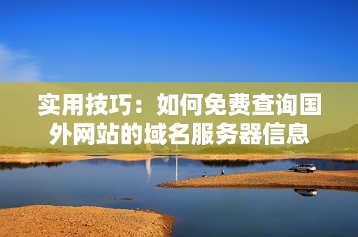 实用技巧：如何免费查询国外网站的域名服务器信息