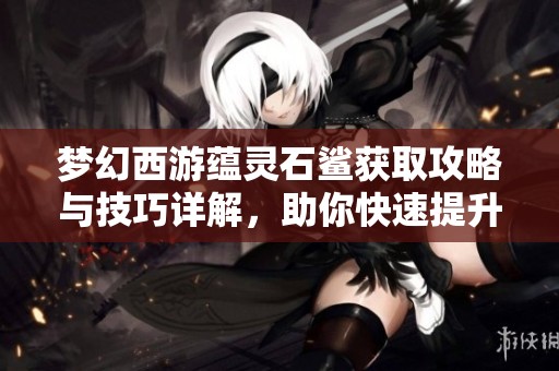 梦幻西游蕴灵石鲨获取攻略与技巧详解，助你快速提升游戏体验与角色实力