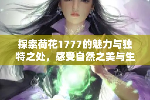 探索荷花1777的魅力与独特之处，感受自然之美与生命的延续