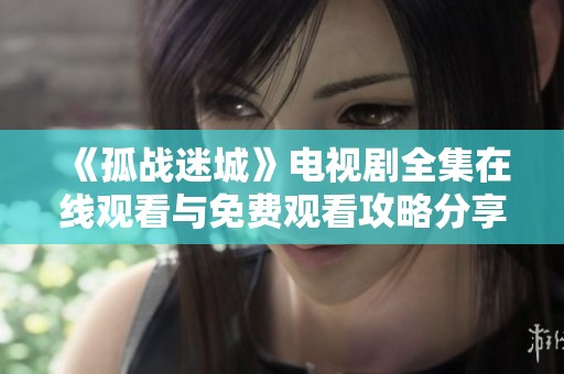 《孤战迷城》电视剧全集在线观看与免费观看攻略分享