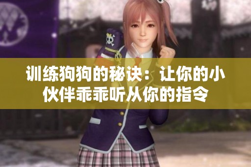 训练狗狗的秘诀：让你的小伙伴乖乖听从你的指令