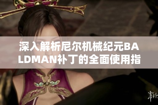 深入解析尼尔机械纪元BALDMAN补丁的全面使用指南与技巧分享