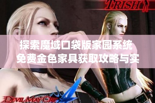 探索魔域口袋版家园系统 免费金色家具获取攻略与实用 tips分享