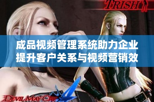 成品视频管理系统助力企业提升客户关系与视频营销效率
