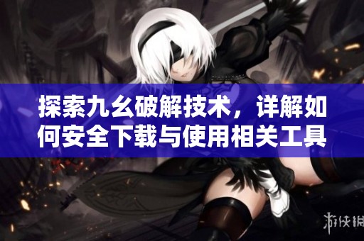 探索九幺破解技术，详解如何安全下载与使用相关工具