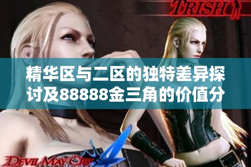 精华区与二区的独特差异探讨及88888金三角的价值分析