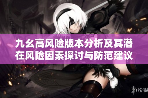 九幺高风险版本分析及其潜在风险因素探讨与防范建议