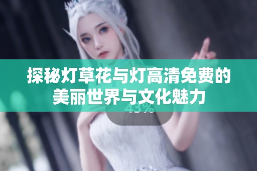 探秘灯草花与灯高清免费的美丽世界与文化魅力