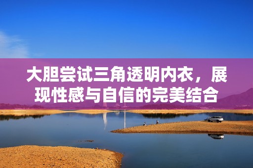 大胆尝试三角透明内衣，展现性感与自信的完美结合