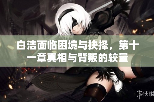 白洁面临困境与抉择，第十一章真相与背叛的较量
