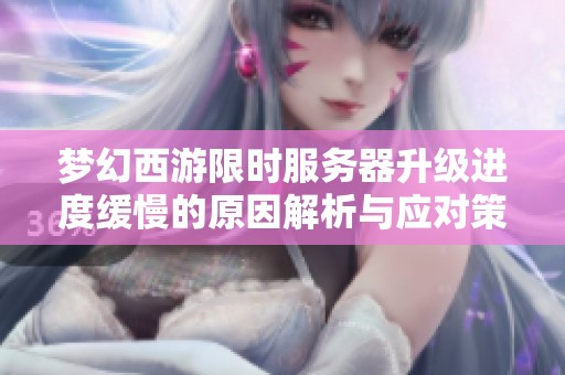 梦幻西游限时服务器升级进度缓慢的原因解析与应对策略探讨