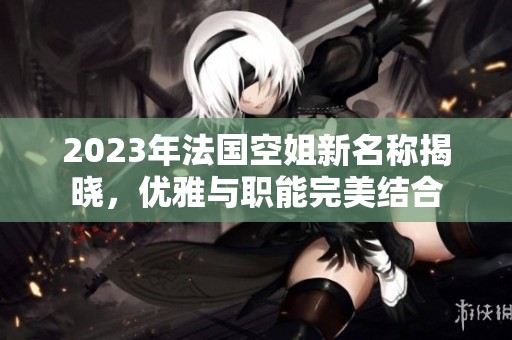2023年法国空姐新名称揭晓，优雅与职能完美结合