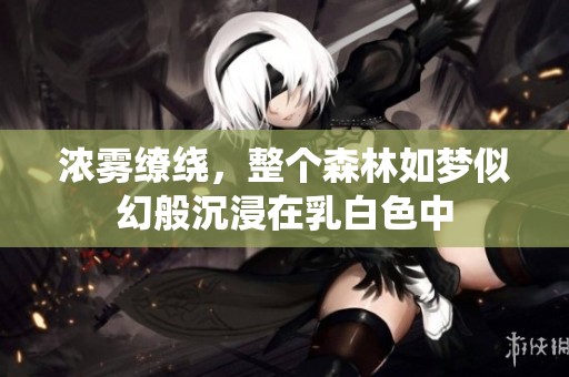 浓雾缭绕，整个森林如梦似幻般沉浸在乳白色中