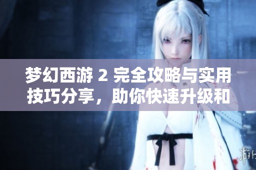 梦幻西游 2 完全攻略与实用技巧分享，助你快速升级和提升游戏体验