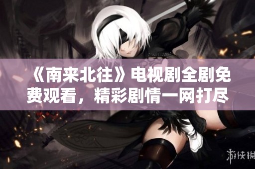 《南来北往》电视剧全剧免费观看，精彩剧情一网打尽！