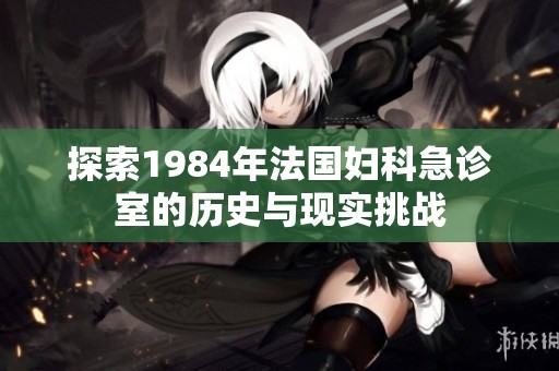 探索1984年法国妇科急诊室的历史与现实挑战