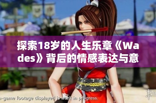 探索18岁的人生乐章《Wades》背后的情感表达与意义