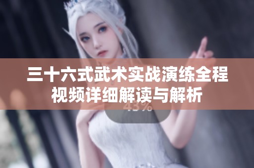 三十六式武术实战演练全程视频详细解读与解析