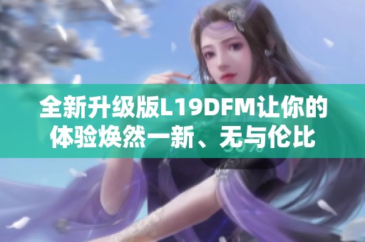 全新升级版L19DFM让你的体验焕然一新、无与伦比