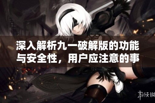 深入解析九一破解版的功能与安全性，用户应注意的事项