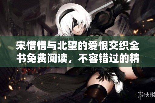 宋惜惜与北望的爱恨交织全书免费阅读，不容错过的精彩剧情