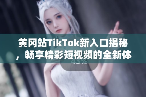 黄冈站TikTok新入口揭秘，畅享精彩短视频的全新体验