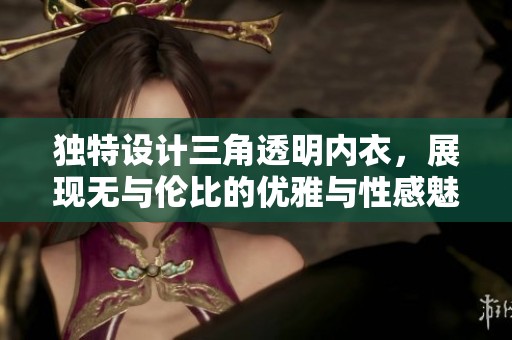 独特设计三角透明内衣，展现无与伦比的优雅与性感魅力
