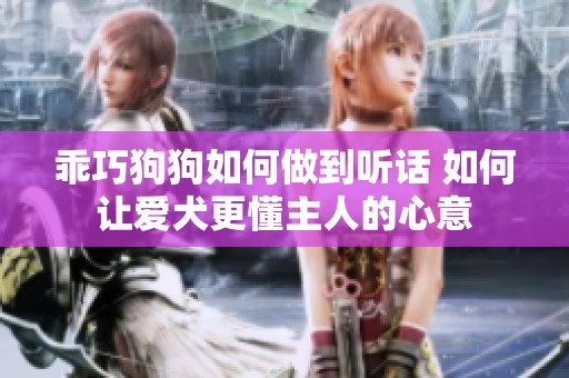 乖巧狗狗如何做到听话 如何让爱犬更懂主人的心意