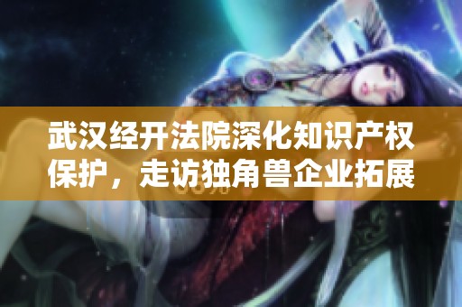 武汉经开法院深化知识产权保护，走访独角兽企业拓展服务链条