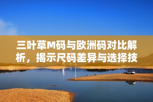 三叶草M码与欧洲码对比解析，揭示尺码差异与选择技巧