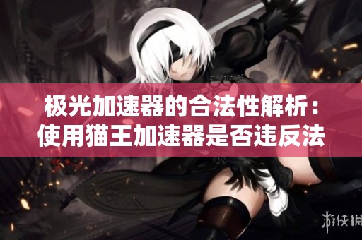 极光加速器的合法性解析：使用猫王加速器是否违反法律规定
