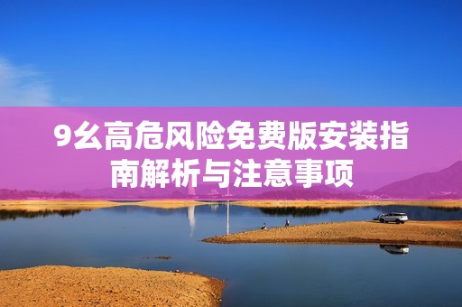 9幺高危风险免费版安装指南解析与注意事项