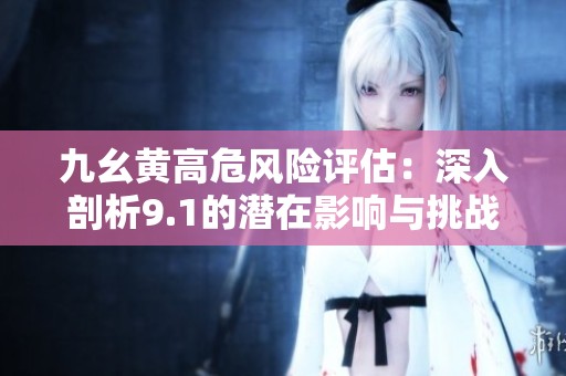 九幺黄高危风险评估：深入剖析9.1的潜在影响与挑战