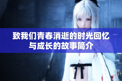 致我们青春消逝的时光回忆与成长的故事简介