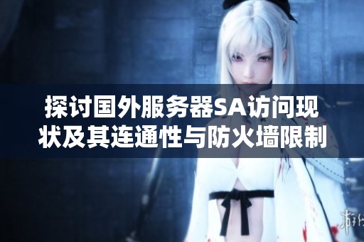 探讨国外服务器SA访问现状及其连通性与防火墙限制的深度解析