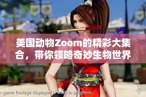 美国动物Zoom的精彩大集合，带你领略奇妙生物世界