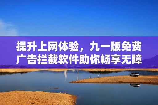 提升上网体验，九一版免费广告拦截软件助你畅享无障碍浏览