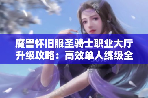 魔兽怀旧服圣骑士职业大厅升级攻略：高效单人练级全路线分享