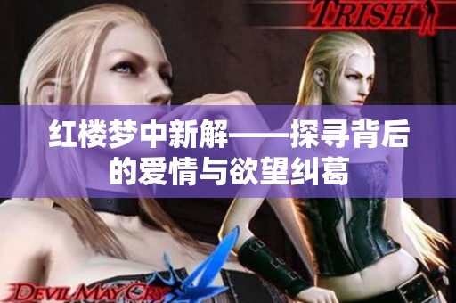红楼梦中新解——探寻背后的爱情与欲望纠葛