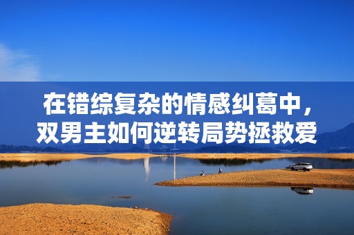 在错综复杂的情感纠葛中，双男主如何逆转局势拯救爱情