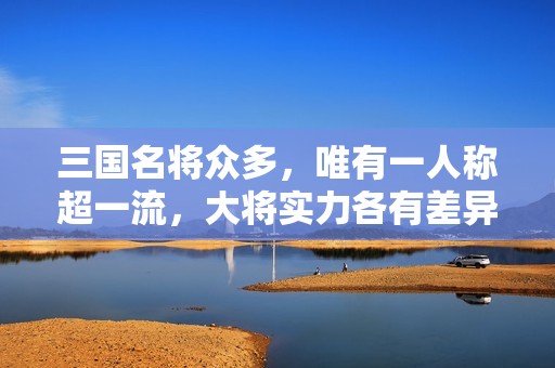 三国名将众多，唯有一人称超一流，大将实力各有差异