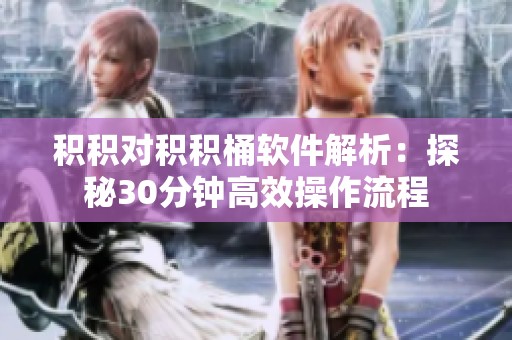 积积对积积桶软件解析：探秘30分钟高效操作流程