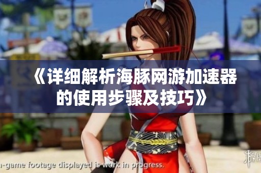 《详细解析海豚网游加速器的使用步骤及技巧》