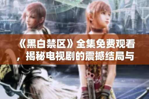 《黑白禁区》全集免费观看，揭秘电视剧的震撼结局与深刻主题
