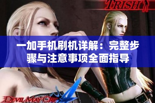 一加手机刷机详解：完整步骤与注意事项全面指导