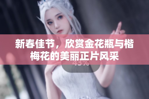 新春佳节，欣赏金花瓶与楷梅花的美丽正片风采