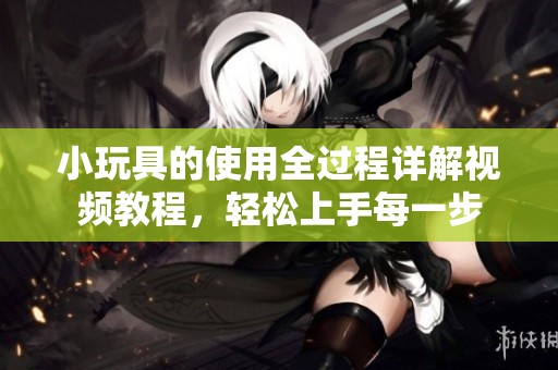 小玩具的使用全过程详解视频教程，轻松上手每一步