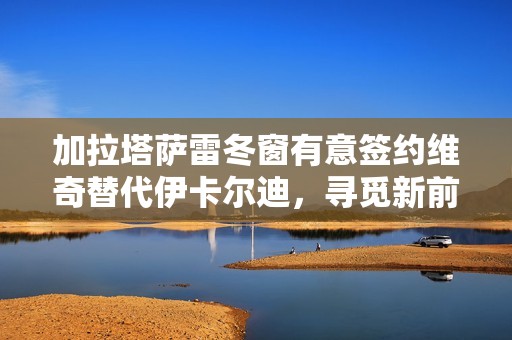加拉塔萨雷冬窗有意签约维奇替代伊卡尔迪，寻觅新前锋
