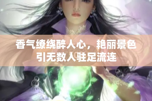 香气缭绕醉人心，艳丽景色引无数人驻足流连