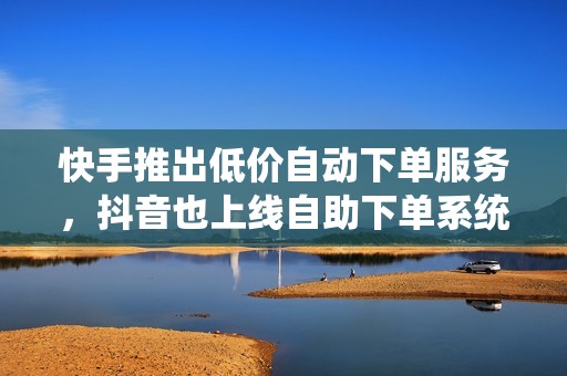快手推出低价自动下单服务，抖音也上线自助下单系统